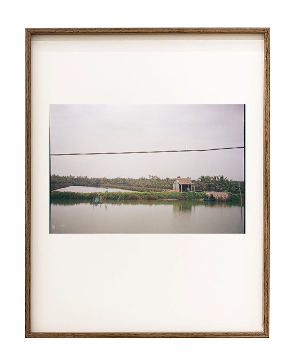 Fields of Hoi An