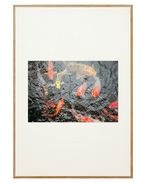 Koi An