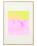 Lombok
